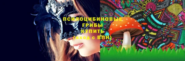 СК Дедовск