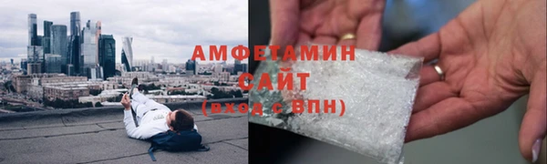 СК Дедовск