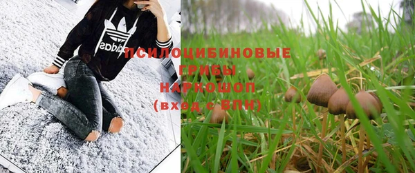 круглые Дегтярск