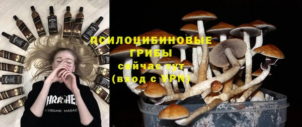 круглые Дегтярск