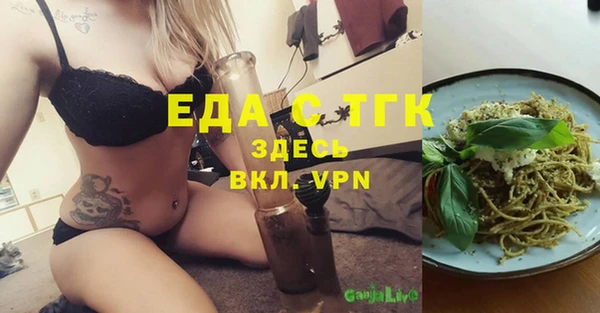 СК Дедовск
