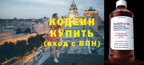 СК Дедовск
