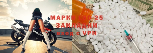 СК Дедовск