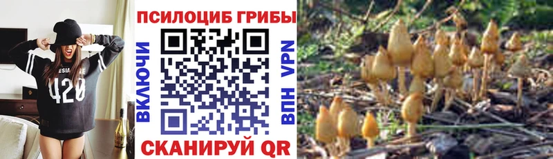Галлюциногенные грибы Psilocybe Козловка