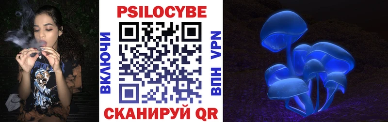 Псилоцибиновые грибы Cubensis  купить наркоту  Козловка 